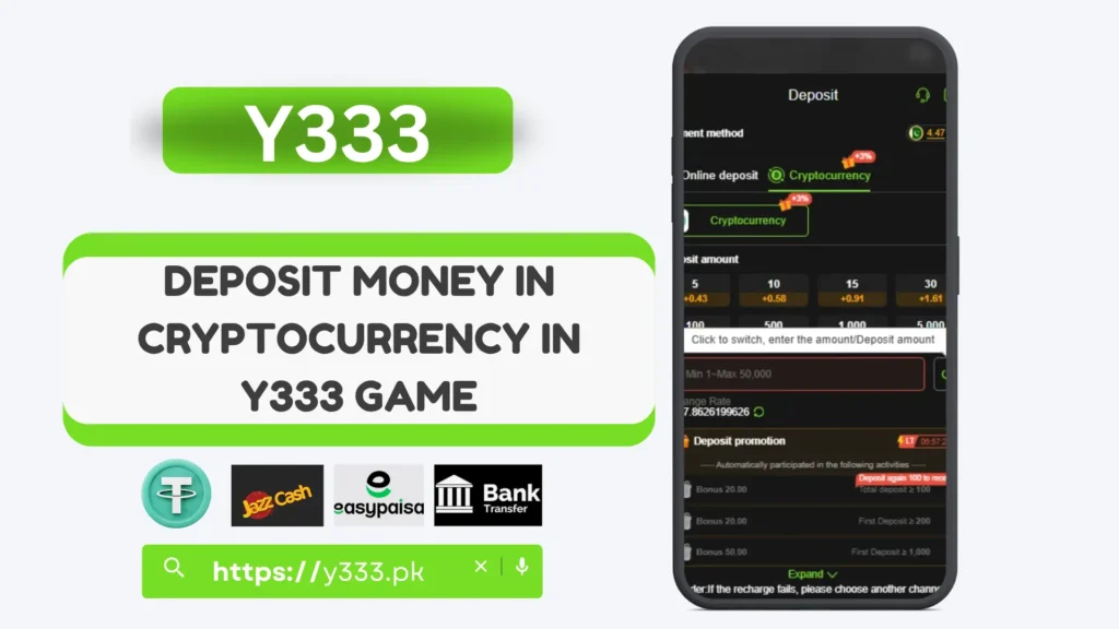 Y333 Crypto Deposits & Withdrawals