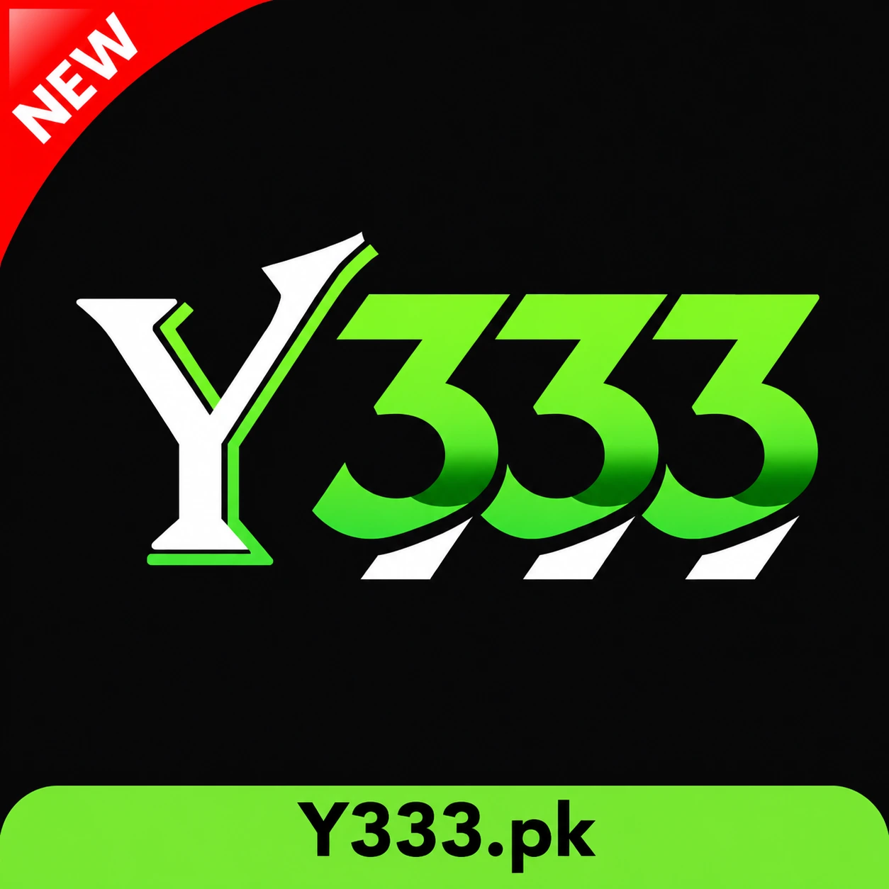 Y333